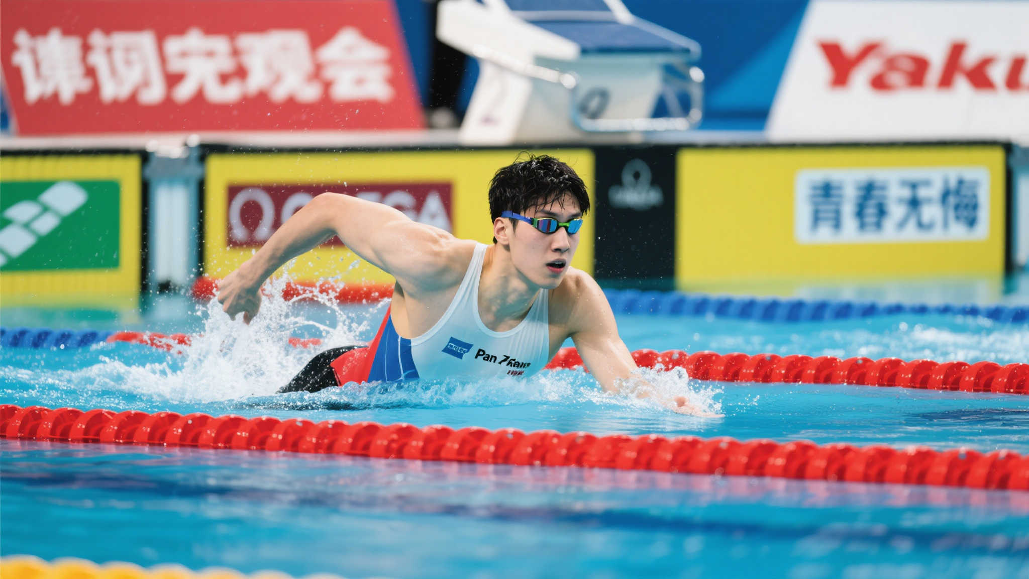 球梦想的追 球梦想的追