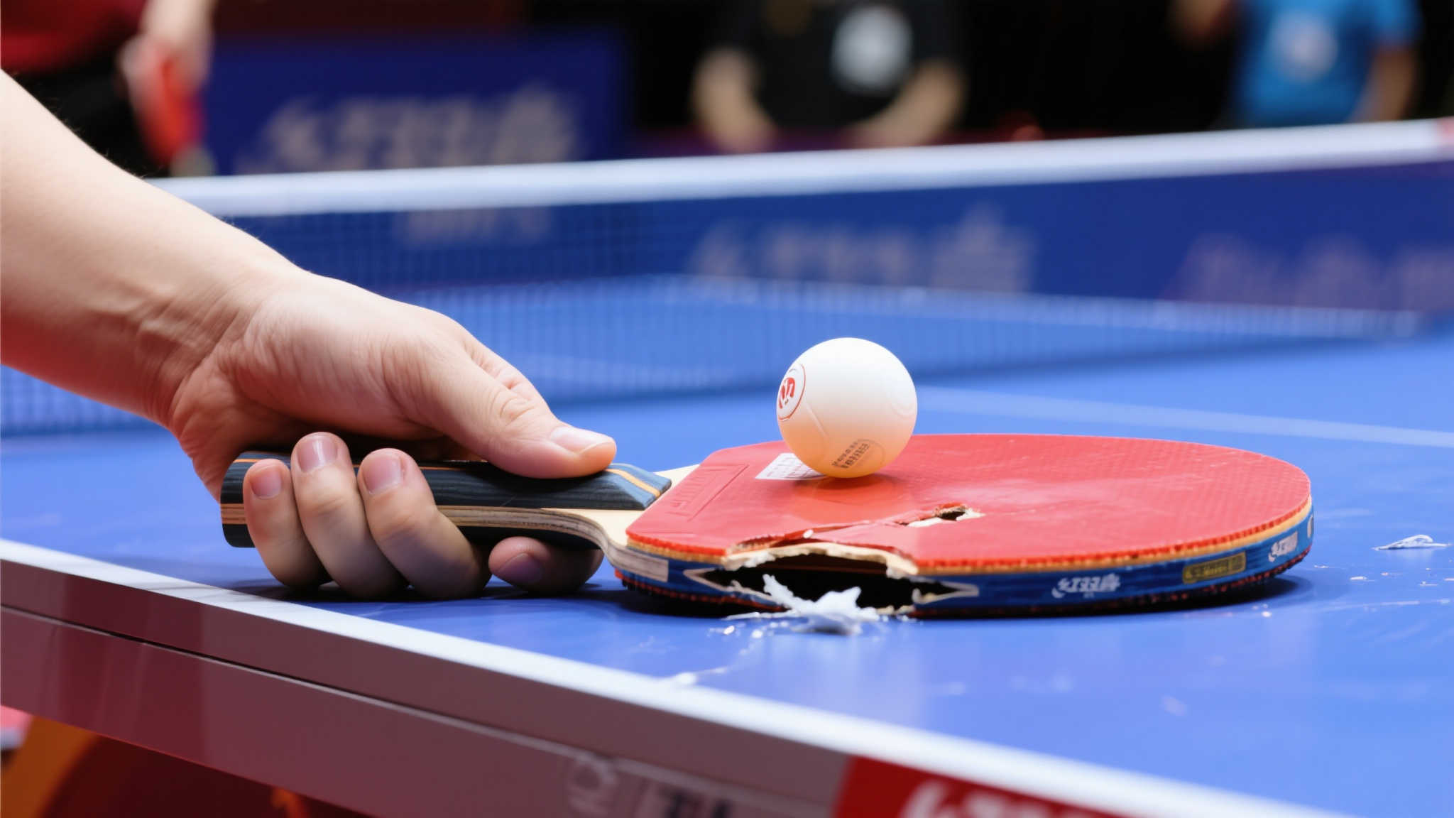 仅让深圳队 仅让深圳队