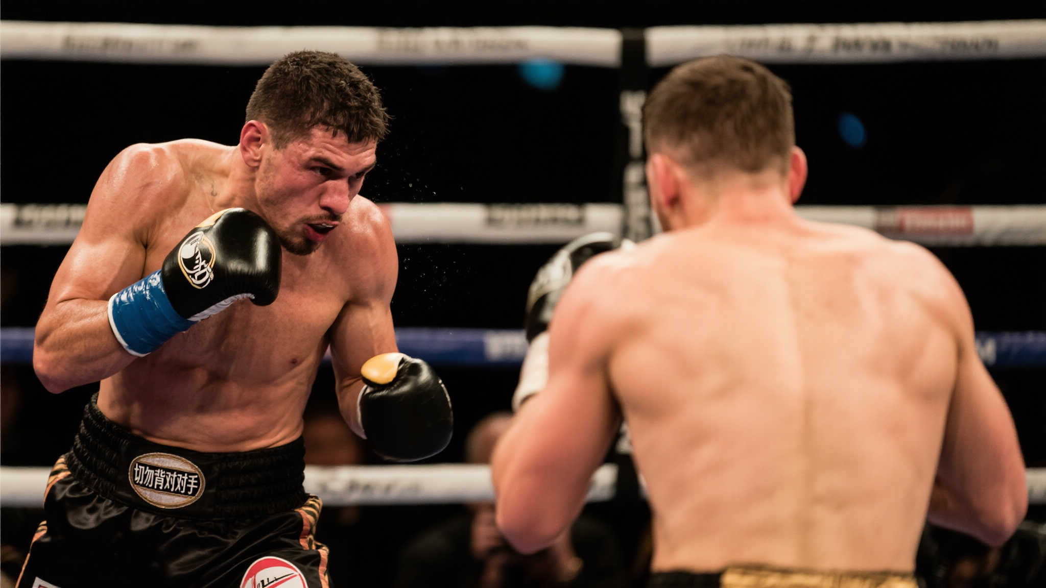 向外界传达 向外界传达